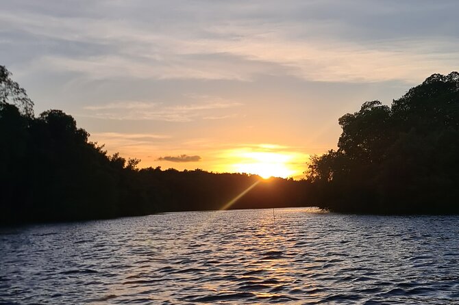 Kayak Adventure in the Second Largest Swamp of Trinidad and Tobago - Pickup, meeting point, and group details