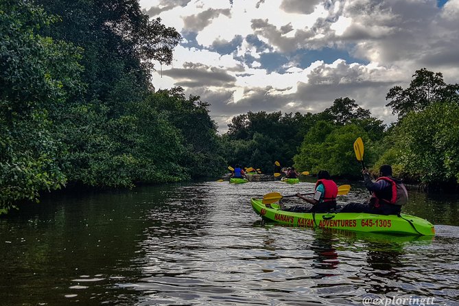 Kayak Adventure in the Second Largest Swamp of Trinidad and Tobago - Why the scarlet ibis makes timing important