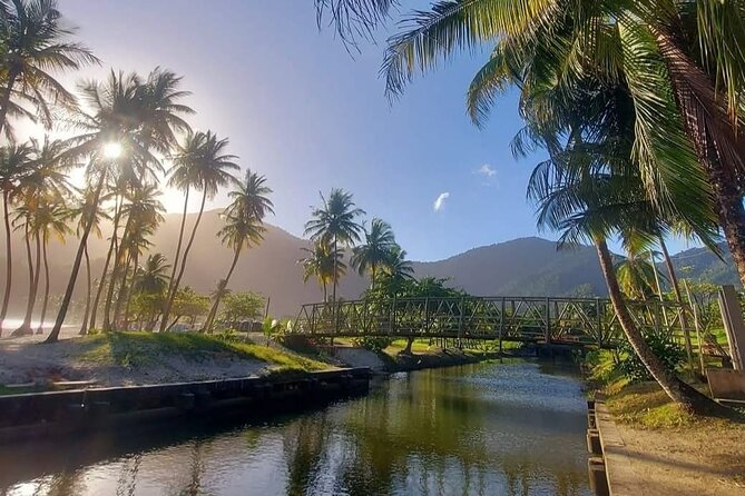 Maracas Beach Excursion & City Pass by tour - The road to Maracas Bay