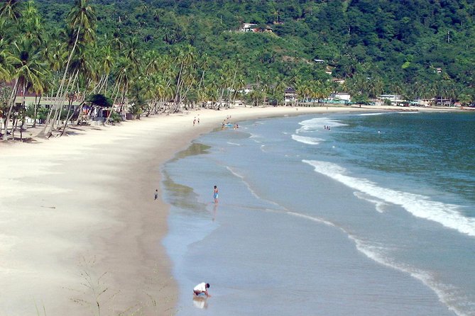 Maracas Beach Trip - Key points to know before booking