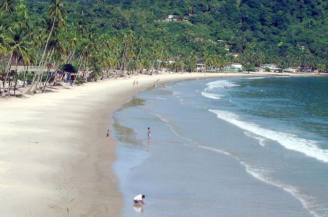 Maracas Beach Trip - Shark and bake is part of the experience