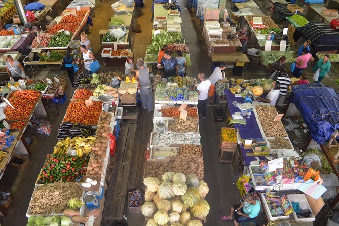 Mini Island Tour of Trinidad - Key points at a glance