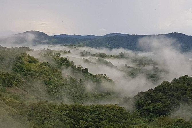 Paramin Jeep Tour in Trinidad - Who will enjoy this Trinidad tour?