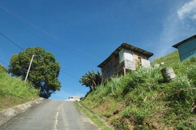 Paramin Jeep Tour in Trinidad - Booking, cancellation, and weather details