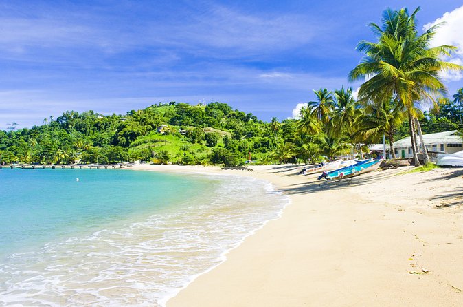 Partlatuvier Bay Day Trip with Lunch - Is $185 a fair price?