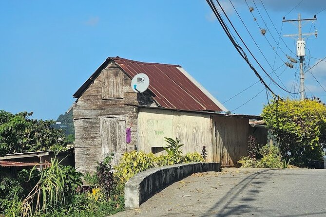 Personalized Private Tour The Paramin Hills - Meeting the people who make Paramin distinctive