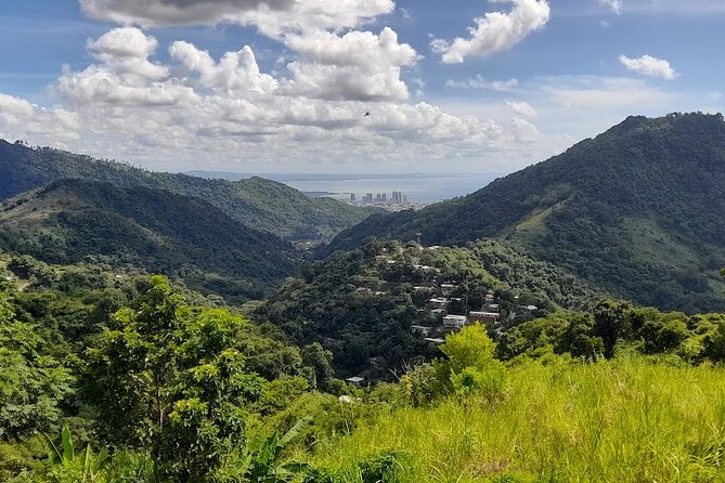Personalized Private Tour The Paramin Hills - Seasonings, agriculture, and the taste of Paramin