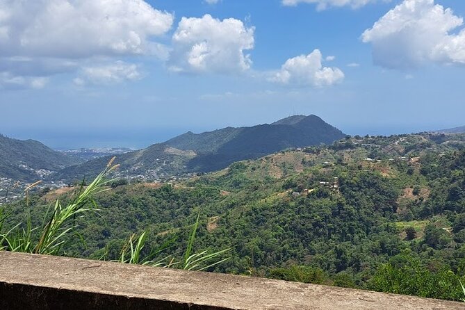 Personalized Private Tour The Paramin Hills - A four-hour drive through steep mountain roads