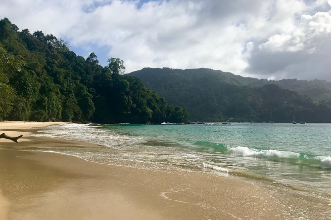Pirate's Bay Day Trip with Lunch - Reaching the cove near Charlotteville