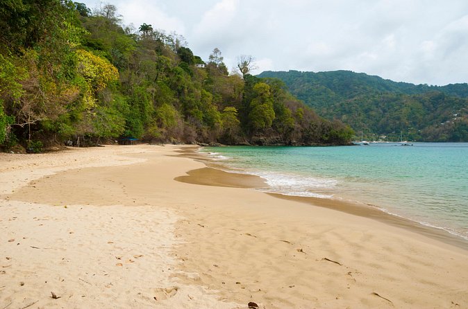 Pirate's Bay Day Trip with Lunch - How the guide shapes the experience
