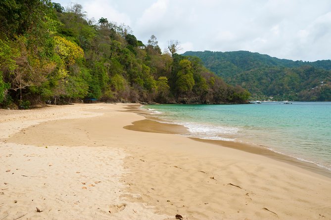 Pirate's Bay Day Trip with Lunch - Should you book Pirate’s Bay?