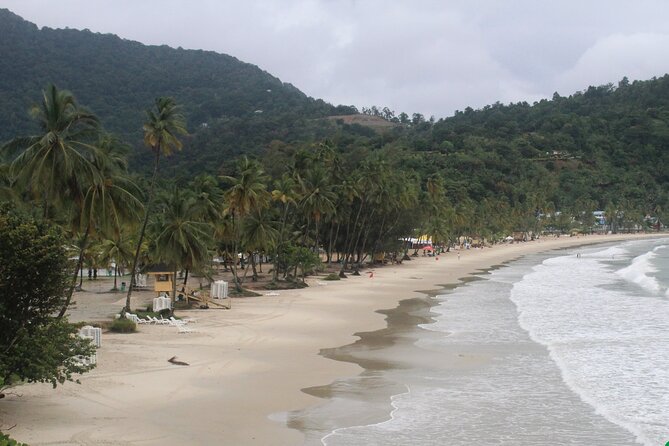 Port of Spain City Highlights and Maracas Beach - The Red House and Queen’s Savannah Park