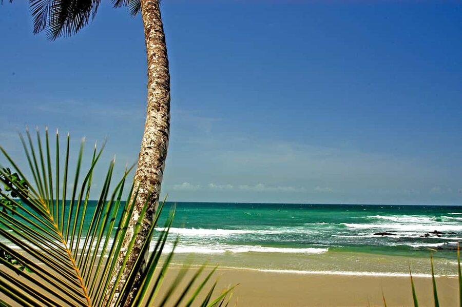 Port of Spain: Coastal Tour of Trinidad - Key points to know before booking