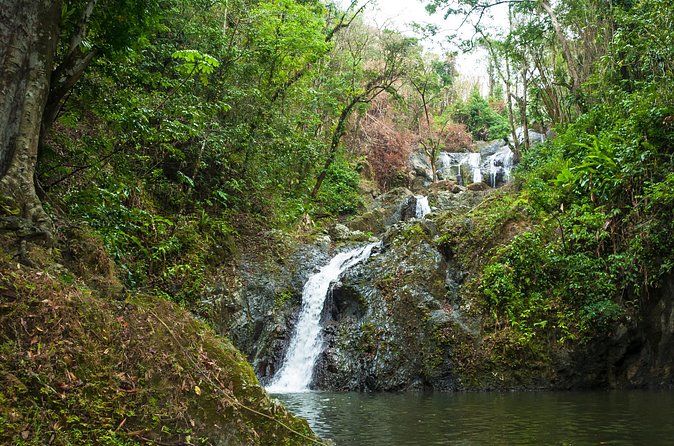Rainforest Tour - What to bring for a comfortable walk