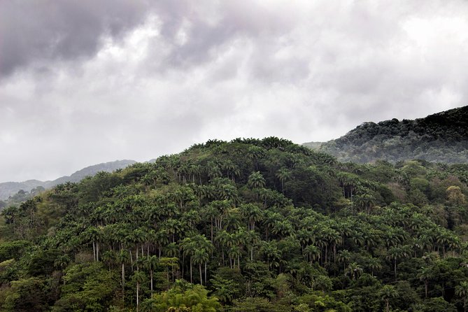 Rainforest Tour - Who will enjoy this Tobago experience most
