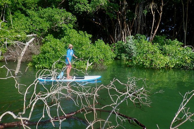 Stand Up Paddle Lessons - What makes Duane a strong teacher