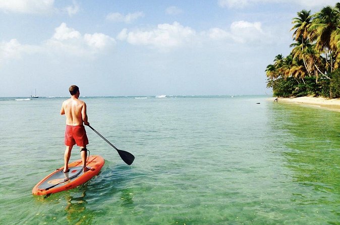 Stand Up Paddle Lessons - Who should choose this lesson