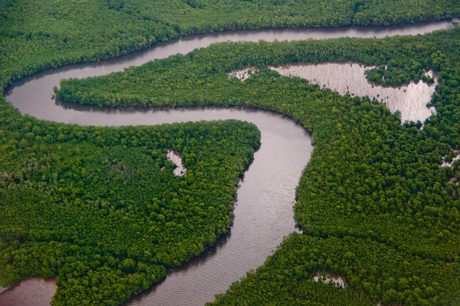 Sunset Boat Tour into Caroni Wetlands - Why Caroni Wetlands Is Worth an Afternoon