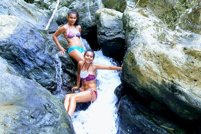 The Grand Circle 12-Hour All-Inclusive Island Experience - Argyle Waterfall and the Main Ridge forest