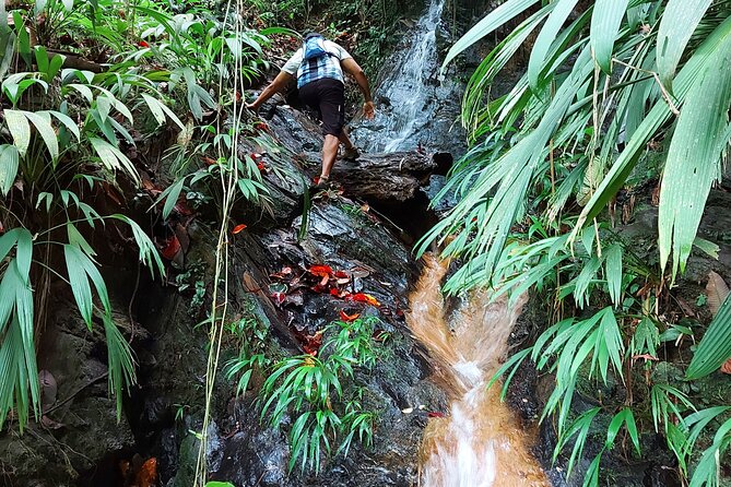 The Grand Circle 24-Hour All-Inclusive Island Experience - One long day around Tobago