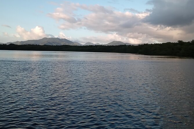 The Scarlet Ibis - Caroni Swamp Tour - What the $55 Price Really Covers