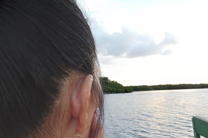 The Scarlet Ibis - Caroni Swamp Tour - Guides, Pickup, and the Shape of the Afternoon