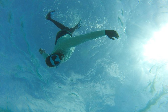 The ULTIMATE Bioluminescence night time adventure with Brandon - Snorkeling among the glowing plankton