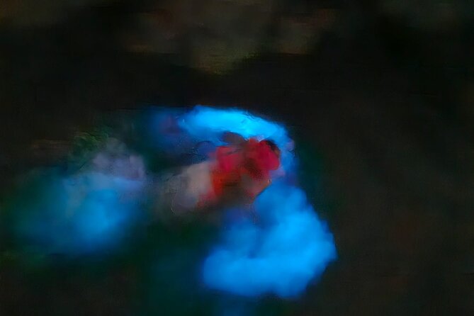 The ULTIMATE Bioluminescence night time adventure with Brandon - Nylon Pool gives the evening a second stop