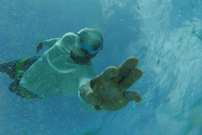 The ULTIMATE Bioluminescence night time adventure with Brandon - Is $170 per person a fair value?