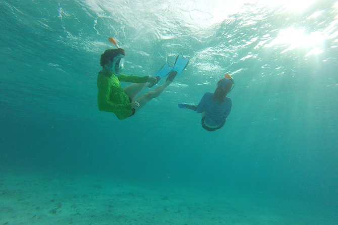 The ULTIMATE Bioluminescence night time adventure with Brandon - Who will enjoy this Tobago night tour?
