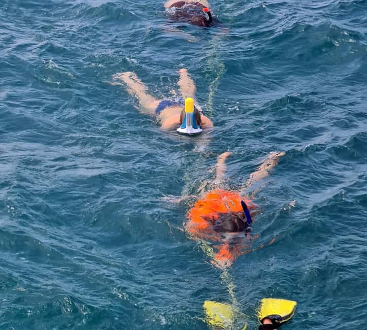 Tobago: Buccoo Reef and Nylon Pool Boat Tour with Transfer - What the Buccoo Reef trip is really like