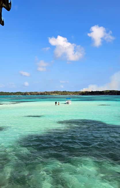 Tobago: Buccoo Reef and Nylon Pool Boat Tour with Transfer - The crew and the feel on board