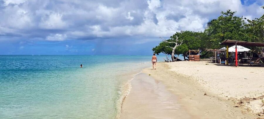 Tobago: Buccoo Reef and Nylon Pool Boat Tour with Transfer - Who will get the most from this tour