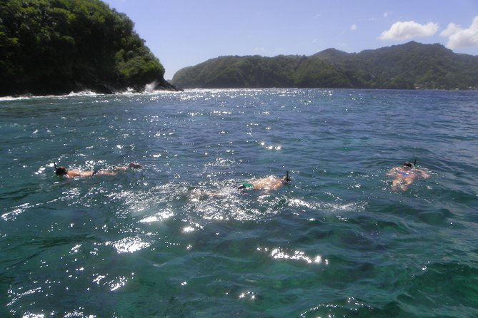 Tobago Buccoo Reef Glass Bottom Boat Cruise and Island Sightseeing Tour - Nylon Pool is the day’s easiest water stop