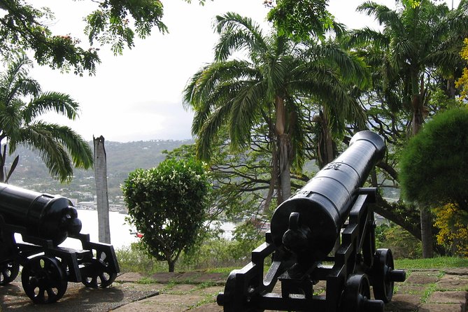 Tobago Buccoo Reef Glass Bottom Boat Cruise and Island Sightseeing Tour - What the $110 price really covers