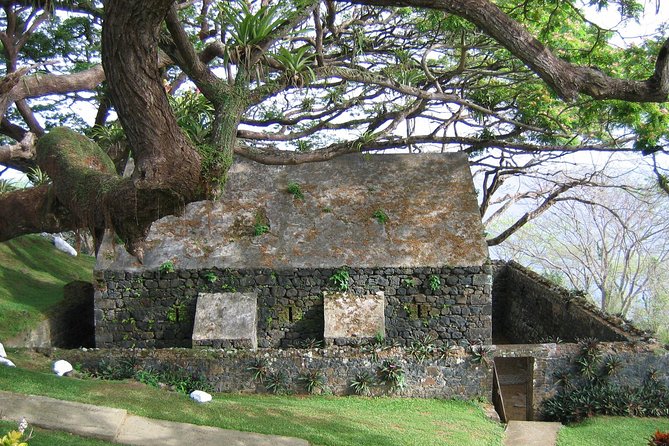 Tobago Buccoo Reef Glass Bottom Boat Cruise and Island Sightseeing Tour - Who will enjoy this Tobago tour most