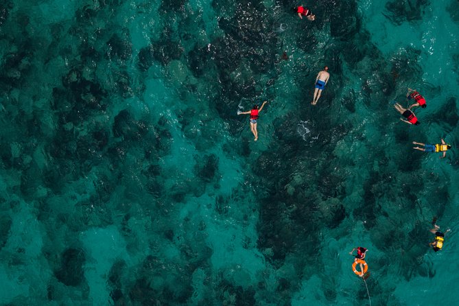 Tobago Buccoo Reef Glass Bottom Boat Tour - Is $78 a fair price?