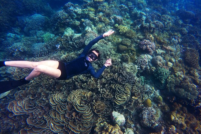 Tobago Buccoo Reef Glass Bottom Boat Tour - My booking advice