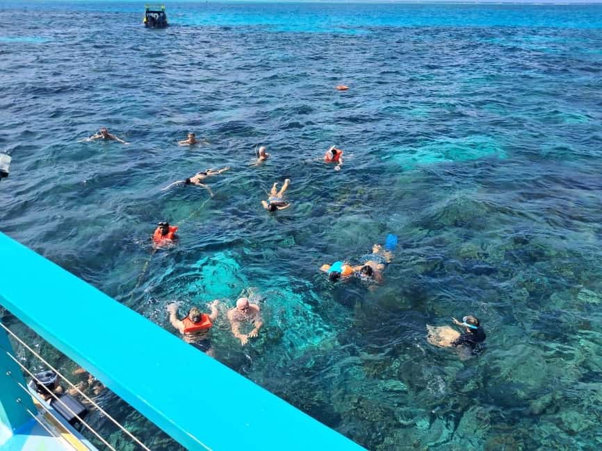 Tobago: Buccoo Reef Marine Park Glass Bottom Boat Tour - The first cruise along Buccoo and Golden Grove