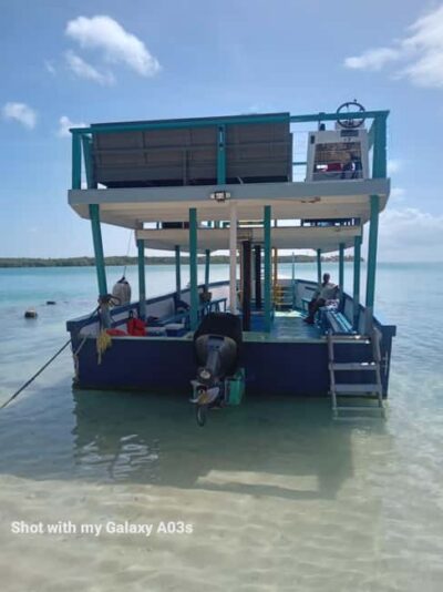 Buccoo Reef Marine Park Glass Bottom Boat Tour