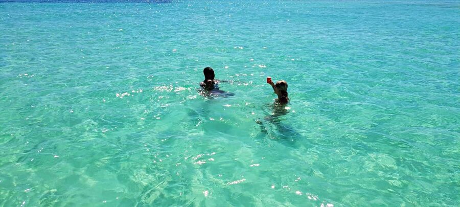Tobago: Coral Reef Boat Tour with BBQ and Transfer - Is $100 a fair price?