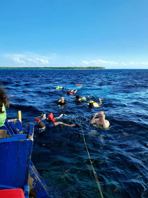 Tobago: Coral Reef Boat Tour with BBQ and Transfer - A four-hour slice of Tobago’s southwest coast