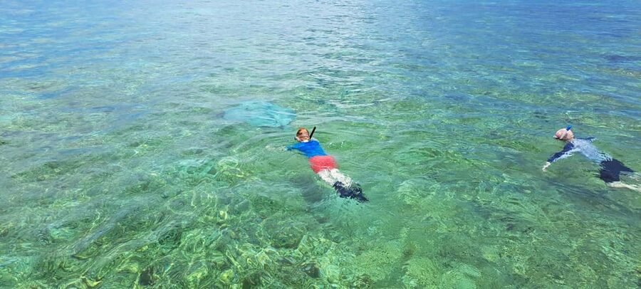 Tobago: Coral Reef Boat Tour with BBQ and Transfer - Coral Gardens, where snorkeling becomes the focus