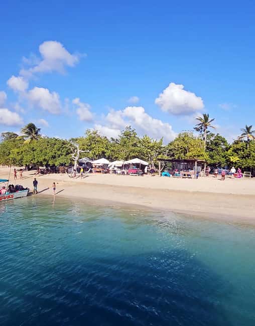 Tobago: Coral Reef Boat Tour with BBQ and Transfer - Who will enjoy this tour most