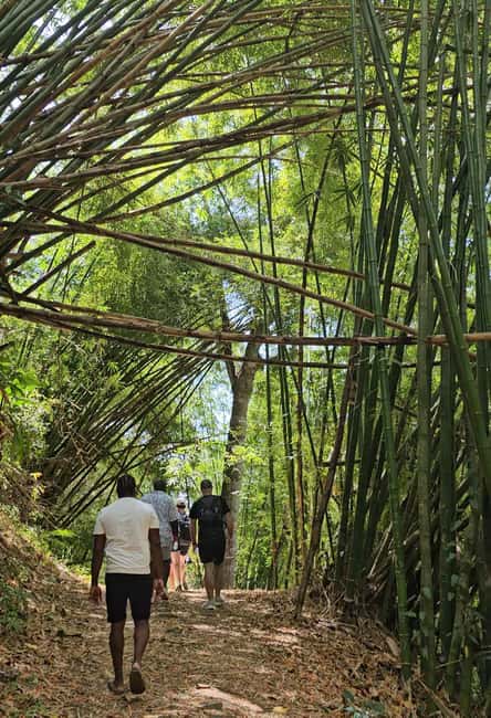 Tobago: Half Day Atlantic Coast Tour with Transfer - A four-hour slice of Tobago’s Atlantic coast