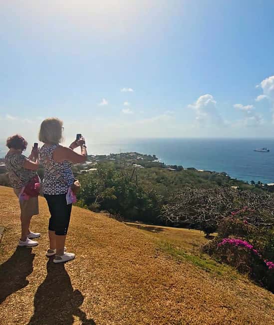 Tobago: Half Day Atlantic Coast Tour with Transfer - Walking to Argyle Waterfall