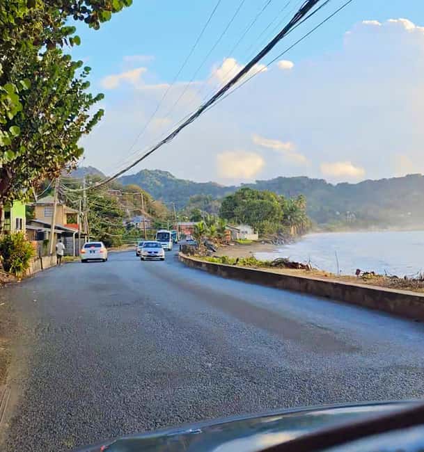 Tobago: Half Day Atlantic Coast Tour with Transfer - What the $80 price really includes