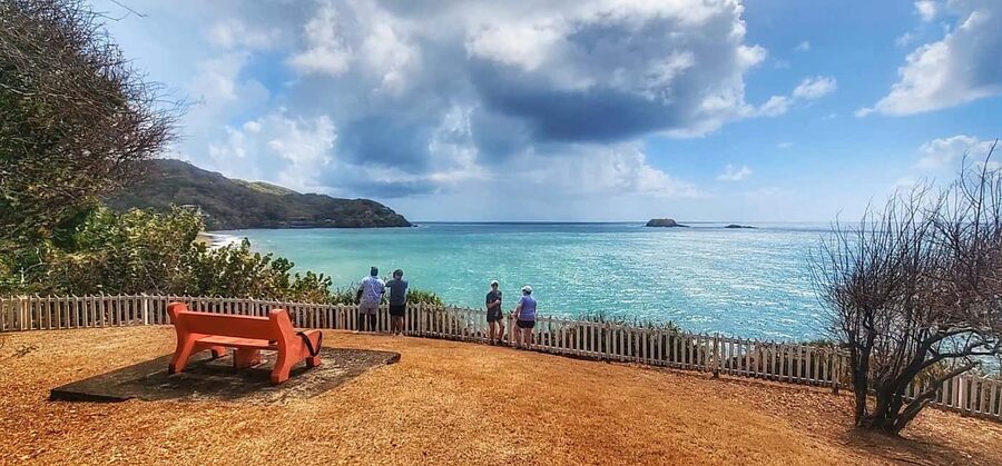Tobago: Half Day Atlantic Coast Tour with Transfer - Who will enjoy this half-day outing?