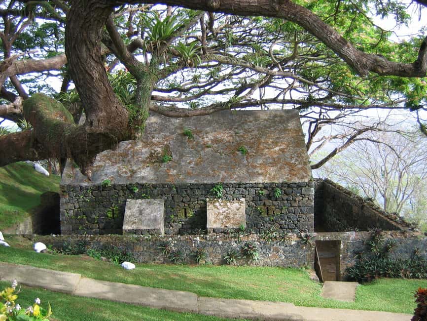 Tobago: Half-Day Highlights Tour - A compact way to get your bearings in Tobago