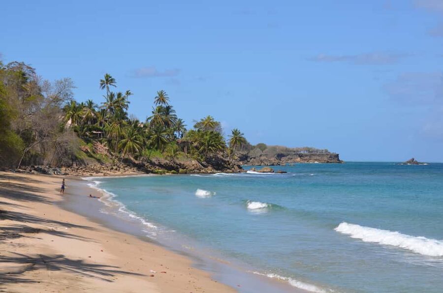 Tobago: Half-Day Highlights Tour - The botanic gardens provide a quieter change of pace